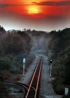 Photo by Gerry Pate